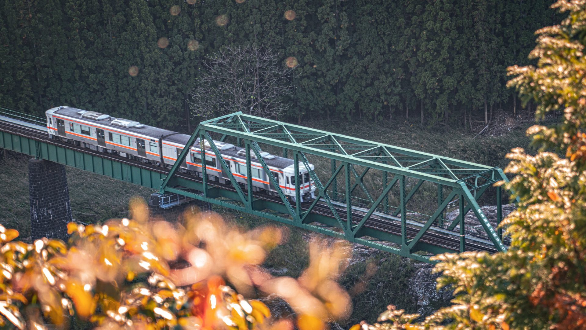 写真：JR高山線