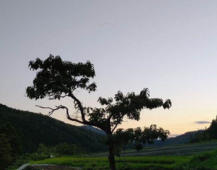 写真:9月の風景
