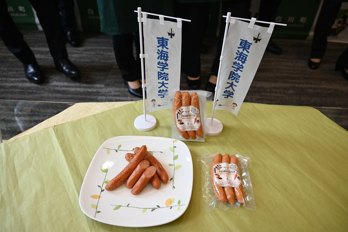 完成報告会の様子